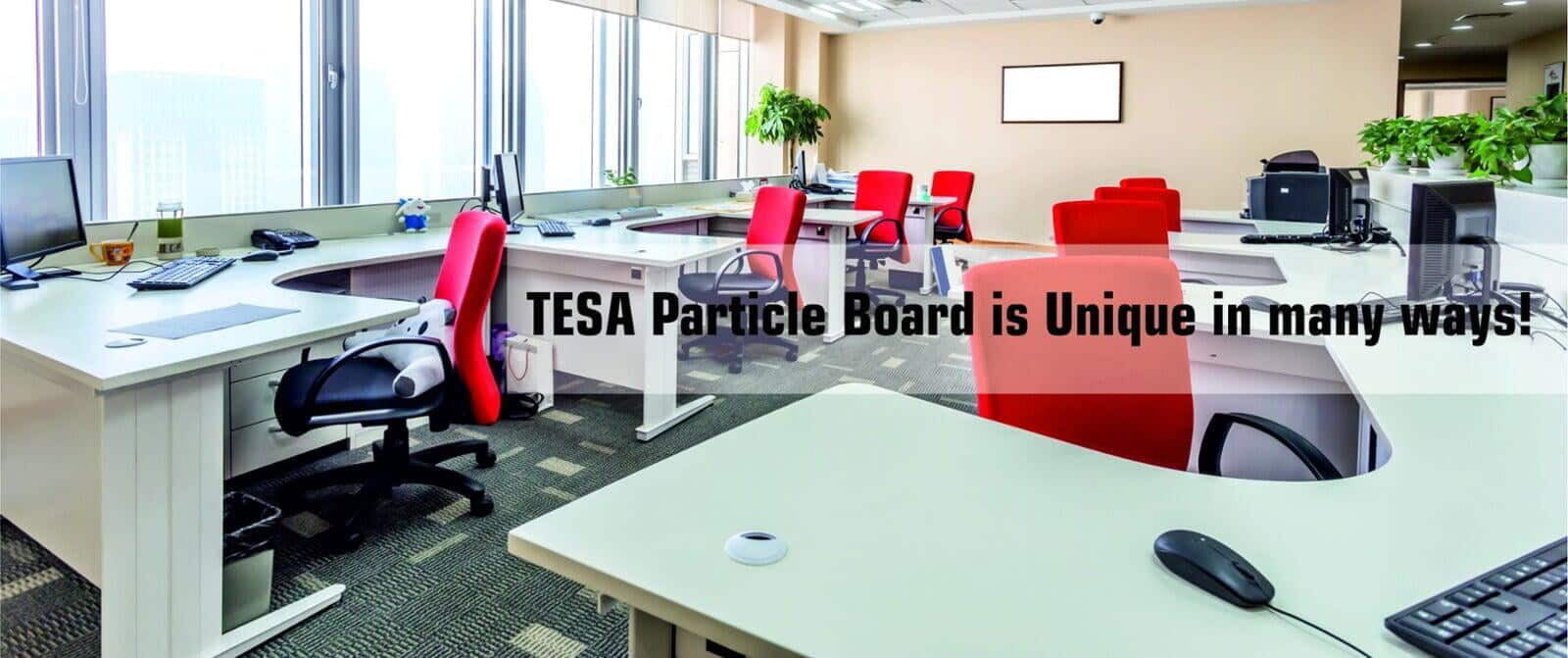 A Detailed Guide to Action Tesa Particleboards and Prelam Particleboards